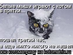 в прятки... а еще никто никого не нашел... пошел третий час, белые мыши играют с котом... Котоматрица: в прятки... а еще никто никого не нашел... пошел третий час, белые мыши играют с котом