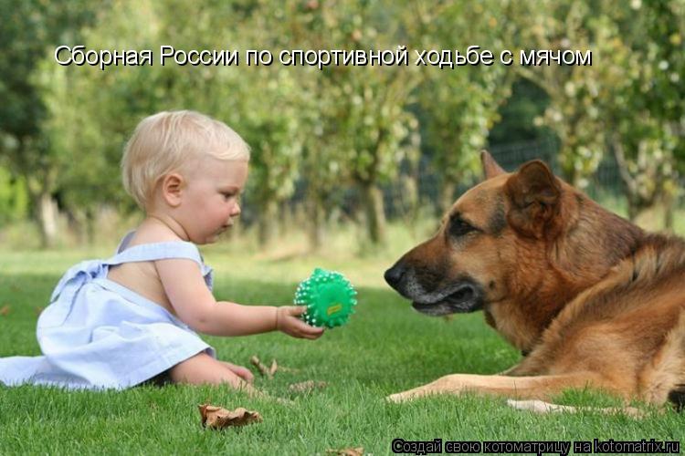 Сборная России по спортивной ходьбе с мячом... Котоматрица: Сборная России по спортивной ходьбе с мячом