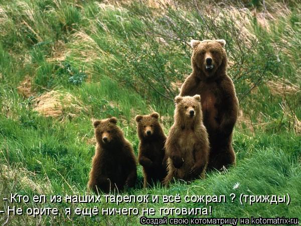 - Кто ел из наших тарелок и всё сожрал ? (трижды) - Не орите, я ещё ничего не готовила!... Котоматрица: - Кто ел из наших тарелок и всё сожрал ? (трижды) - Не орите, я ещё ничего не готовила!