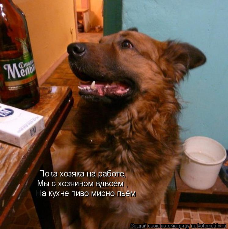 Пока хозяка на работе, Мы с хозяином вдвоем , На кухне пиво мирно пьём... Котоматрица: Пока хозяка на работе, Мы с хозяином вдвоем , На кухне пиво мирно пьём