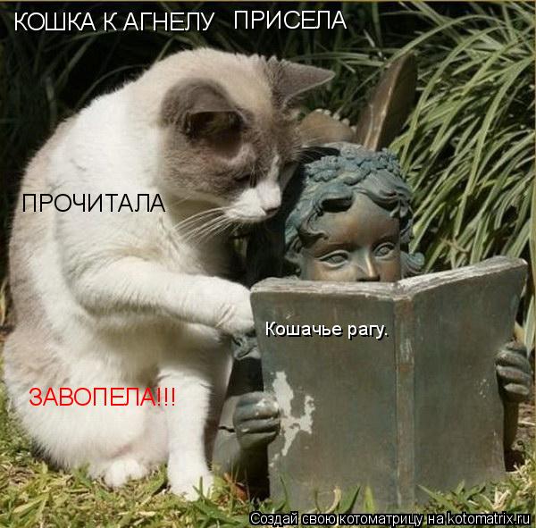 КОШКА К АГНЕЛУ ПРИСЕЛА ПРОЧИТАЛА ЗАВОПЕЛА!!! Кошачье рагу.... Котоматрица: КОШКА К АГНЕЛУ ПРИСЕЛА ПРОЧИТАЛА ЗАВОПЕЛА!!! Кошачье рагу.