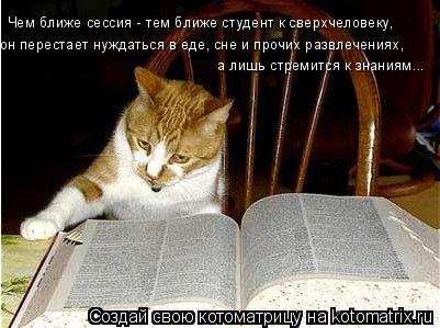 Котоматрица: Чем ближе сессия - тем ближе студент к сверхчеловеку, он перестает нуждаться в еде, сне и прочих развлечениях, а лишь стремится к знаниям...