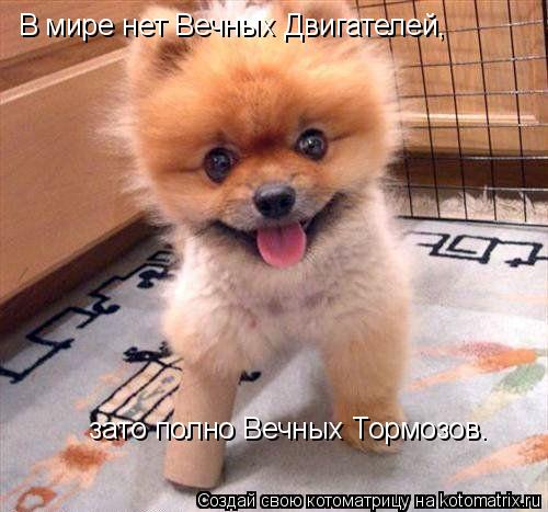 В мире нет Вечных Двигателей, зато полно Вечных Тормозов.... Котоматрица: В мире нет Вечных Двигателей, зато полно Вечных Тормозов.