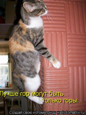 Котоматрица: Лучше гор могут быть  только горы...