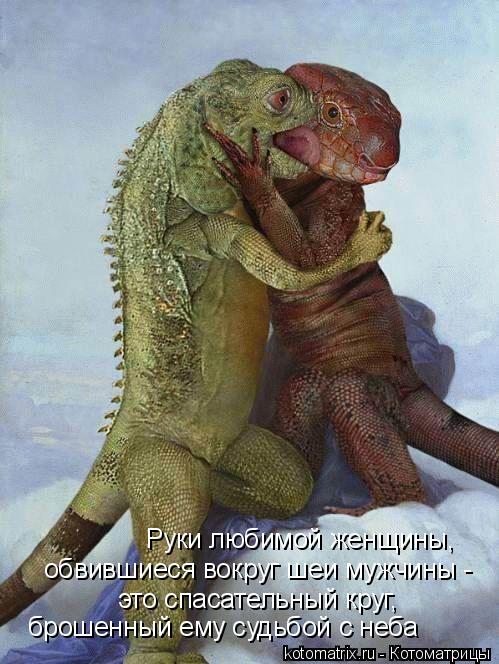 Руки любимой женщины, обвившиеся вокруг шеи мужчины - это спасательный круг, брошенный ему судьбой с... Котоматрица: Руки любимой женщины, обвившиеся вокруг шеи мужчины - это спасательный круг, брошенный ему судьбой с неба