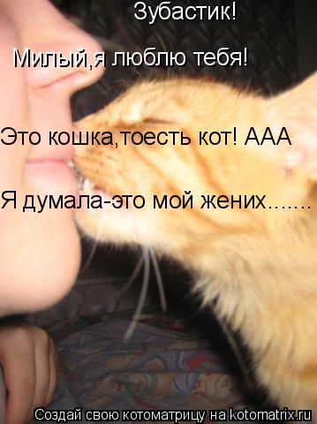 Зубастик! Милый,я люблю тебя! Это кошка,тоесть кот! ААА Я думала-это мой жених.......... Котоматрица: Зубастик! Милый,я люблю тебя! Это кошка,тоесть кот! ААА Я думала-это мой жених.......