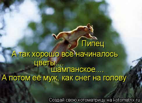 Котоматрица: Пипец А так хорошо всё начиналось цветы.... шампанское.... А потом её муж, как снег на голову