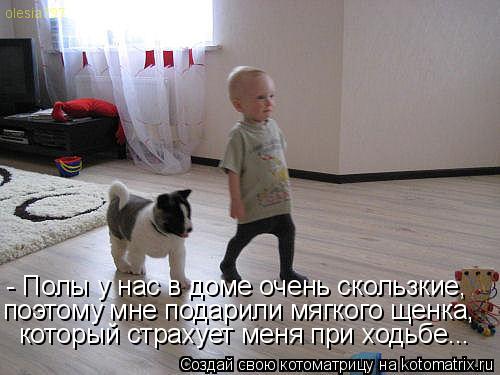 Котоматрица: - Полы у нас в доме очень скользкие,  поэтому мне подарили мягкого щенка, который страхует меня при ходьбе...