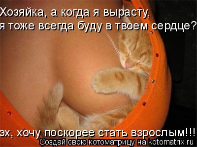Хозяйка, а когда я вырасту, я тоже всегда буду в твоем сердце? эх, хочу поскорее стать взрослым!!!!!... Котоматрица: Хозяйка, а когда я вырасту, я тоже всегда буду в твоем сердце? эх, хочу поскорее стать взрослым!!!!!!!!!