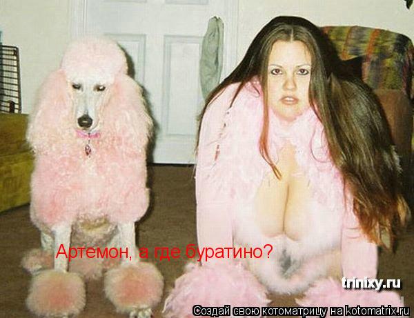 Артемон, а где буратино?... Котоматрица: Артемон, а где буратино?