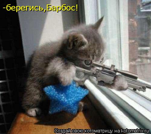 -берегись,Барбос!... Котоматрица: -берегись,Барбос!