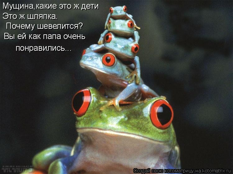Котоматрица: Мущина,какие это ж дети Это ж шляпка. Почему шевелится? Вы ей как папа очень понравились...