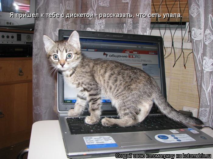 Котоматрица: Я пришел к тебе с дискетой - рассказать, что сеть упала.