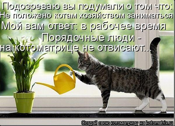 Подозреваю вы подумали о том что: Не положено котам хозяйством заниматься Мой вам ответ: в рабочее вр... Котоматрица: Подозреваю вы подумали о том что: Не положено котам хозяйством заниматься Мой вам ответ: в рабочее время Порядочные люди - на котоматрице н