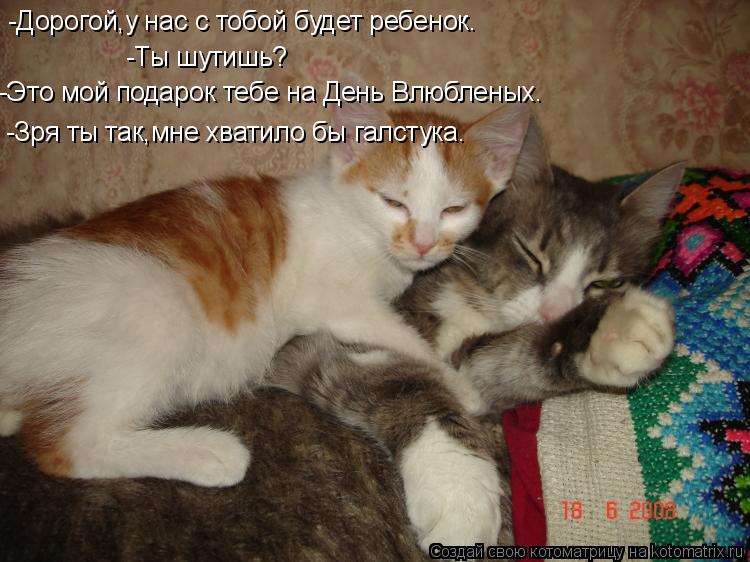 Котоматрица: -Дорогой,у нас с тобой будет ребенок. -Ты шутишь? -Это мой подарок тебе на День Влюбленых. -Зря ты так,мне хватило бы галстука.