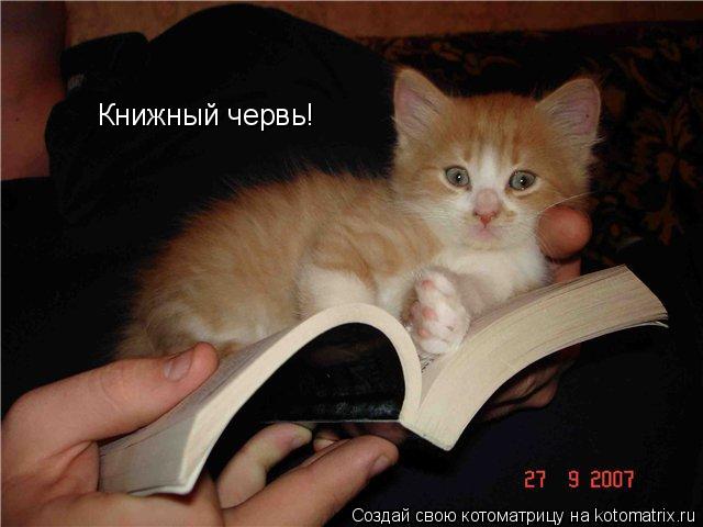 Книжный червь!... Котоматрица: Книжный червь!