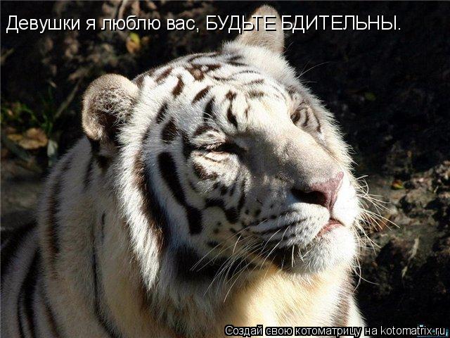 Девушки я люблю вас, БУДЬТЕ БДИТЕЛЬНЫ.... Котоматрица: Девушки я люблю вас, БУДЬТЕ БДИТЕЛЬНЫ.