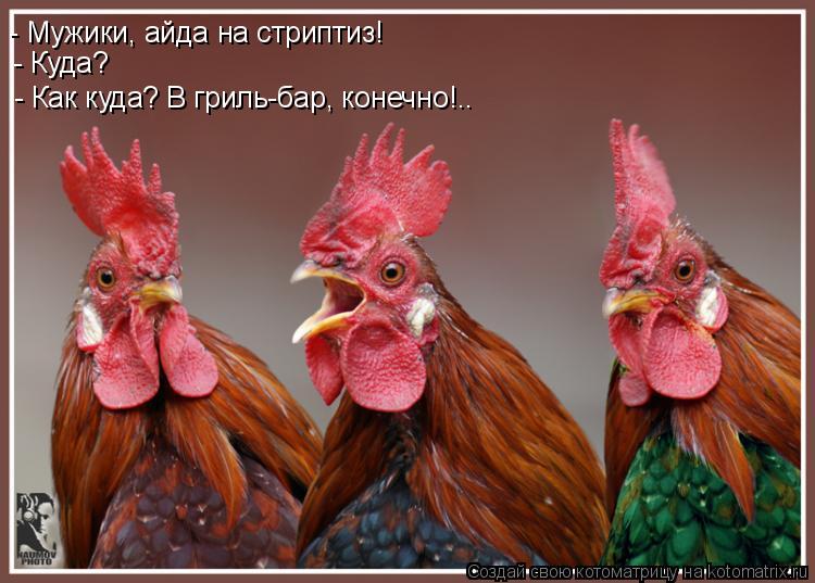 - Куда? - Как куда? В гриль-бар, конечно!.. - Мужики, айда на стриптиз!... Котоматрица: - Куда? - Как куда? В гриль-бар, конечно!.. - Мужики, айда на стриптиз!