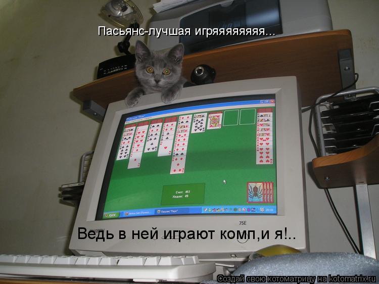 Пасьянс-лучшая игряяяяяяяя... Ведь в ней играют комп,и я!..... Котоматрица: Пасьянс-лучшая игряяяяяяяя... Ведь в ней играют комп,и я!..