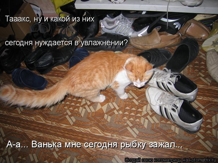 Тааакс, ну и какой из них сегодня нуждается в увлажнении? А-а... Ванька мне сегодня рыбку зажал...... Котоматрица: Тааакс, ну и какой из них сегодня нуждается в увлажнении? А-а... Ванька мне сегодня рыбку зажал...