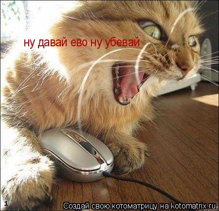 ну давай ево ну убевай... Котоматрица: ну давай ево ну убевай