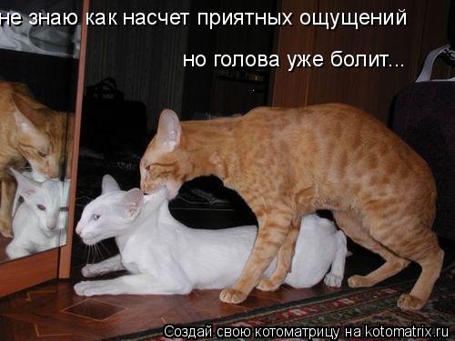 не знаю как насчет приятных ощущений но голова уже болит...... Котоматрица: не знаю как насчет приятных ощущений но голова уже болит...