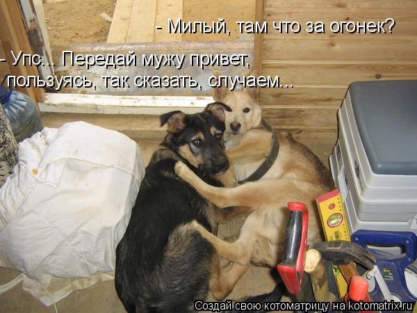 - Милый, там что за огонек? - Упс... Передай мужу привет, пользуясь, так сказать, случаем...... Котоматрица: - Милый, там что за огонек? - Упс... Передай мужу привет, пользуясь, так сказать, случаем...