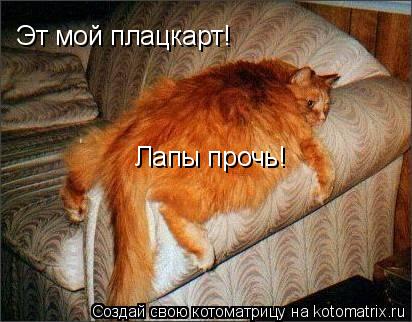 Эт мой плацкарт! Лапы прочь!... Котоматрица: Эт мой плацкарт! Лапы прочь!