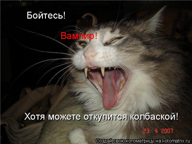 Котоматрица: Бойтесь! Вампир! Хотя можете откупится колбаской!