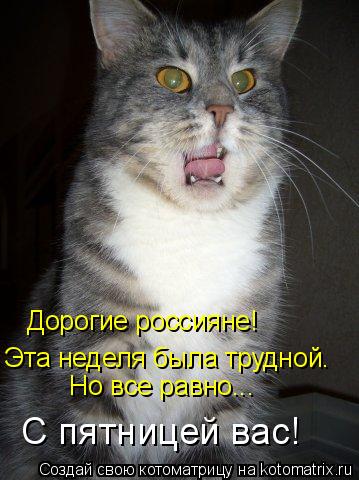 Котоматрица: Дорогие россияне! Эта неделя была трудной. Но все равно... С пятницей вас!