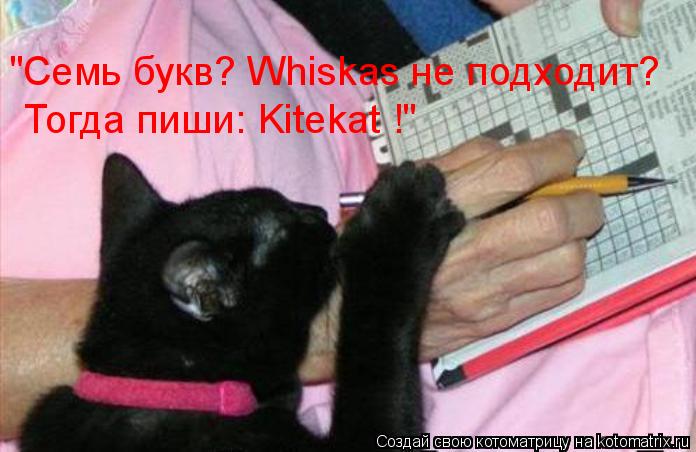 "Семь букв? Whiskas не подходит? Тогда пиши: Kitekat !"... Котоматрица: "Семь букв? Whiskas не подходит? Тогда пиши: Kitekat !"