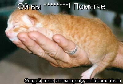 Котоматрица: Эй вы ********! Помягче