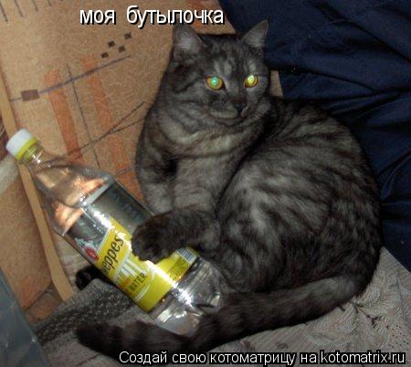 моя бутылочка... Котоматрица: моя бутылочка