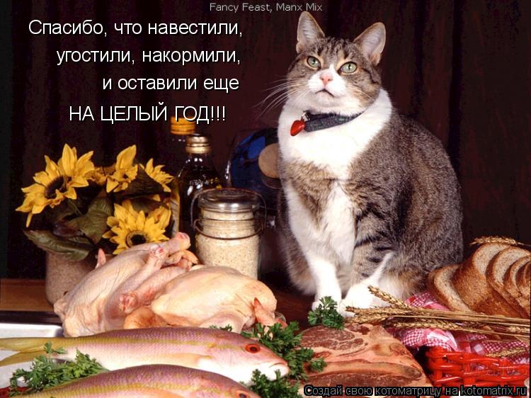 Котоматрица: Спасибо, что навестили, угостили, накормили, и оставили еще  НА ЦЕЛЫЙ ГОД!!!