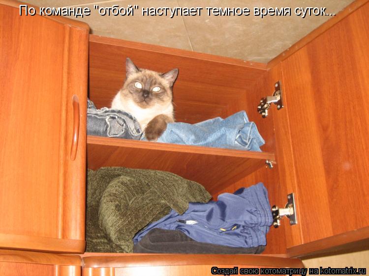 По команде "отбой" наступает темное время суток...... Котоматрица: По команде "отбой" наступает темное время суток...