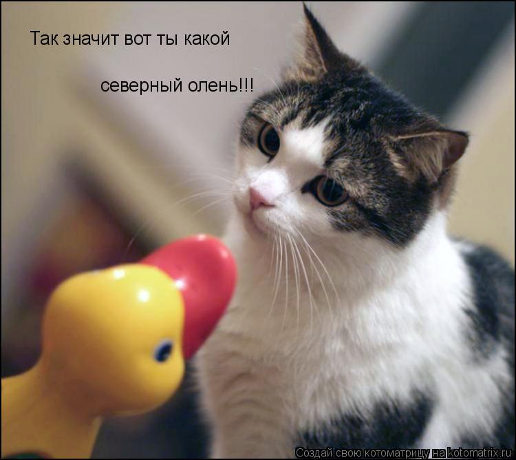 Котоматрица: Так значит вот ты какой северный олень!!!