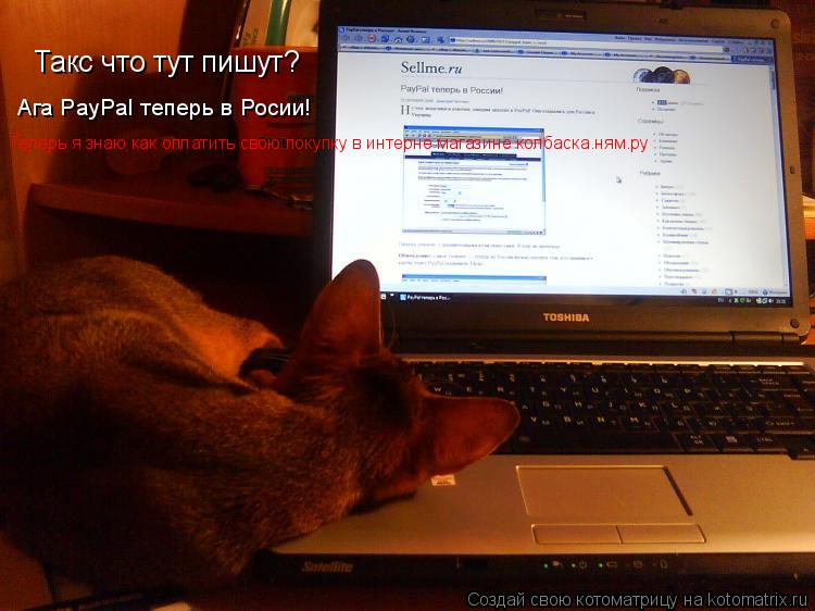 Такс что тут пишут? Ага PayPal теперь в Росии! Теперь я знаю как оплатить свою покупку в интерне маг... Котоматрица: Такс что тут пишут? Ага PayPal теперь в Росии! Теперь я знаю как оплатить свою покупку в интерне магазине колбаска.ням.ру
