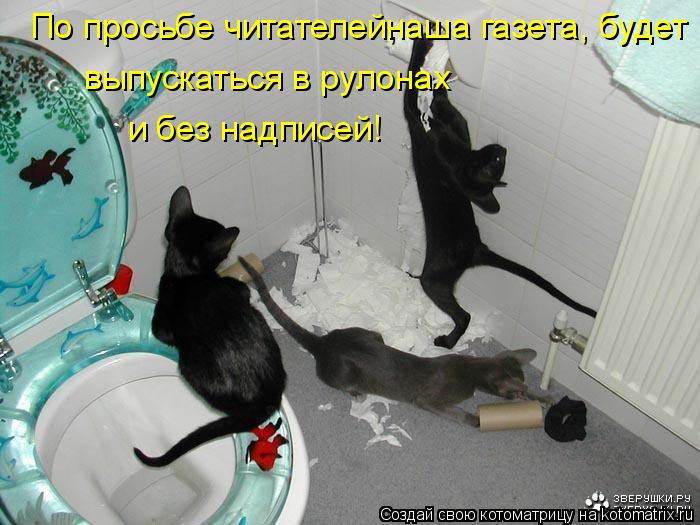 По просьбе читателей, наша газета, будет выпускаться в рулонах и без надписей!... Котоматрица: По просьбе читателей, наша газета, будет выпускаться в рулонах и без надписей!