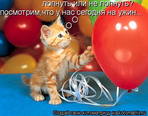 лопнуть или не лопнуть? посмотрим,что у нас сегодня на ужин... О О... Котоматрица: лопнуть или не лопнуть? посмотрим,что у нас сегодня на ужин... О О