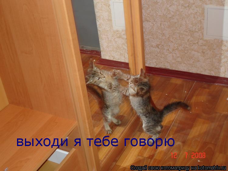 выходи я тебе говорю... Котоматрица: выходи я тебе говорю