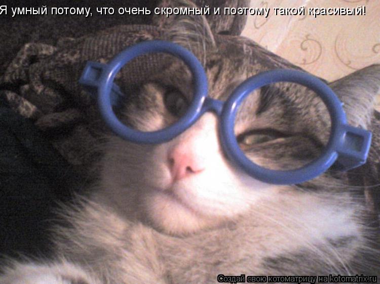 Котоматрица: Я умный потому, что очень скромный и поэтому такой красивый!