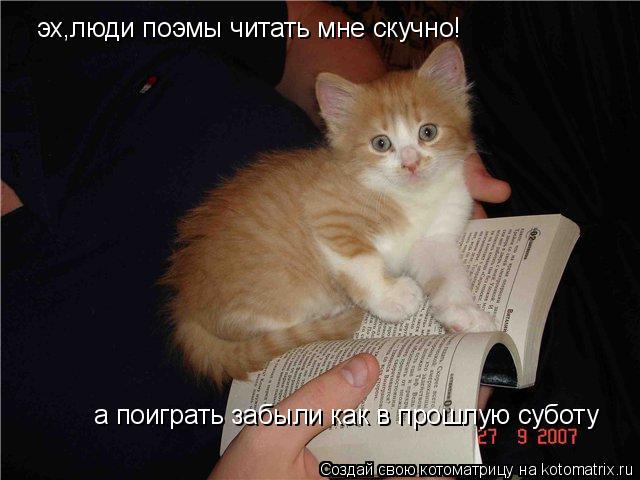Котоматрица: эх,люди поэмы читать мне скучно! а поиграть забыли как в прошлую суботу