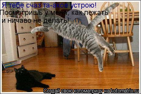 Я тебе счаз та-акое устрою! Посмотришь у меня, как лежать и ничаво не делать!... Котоматрица: Я тебе счаз та-акое устрою! Посмотришь у меня, как лежать и ничаво не делать!