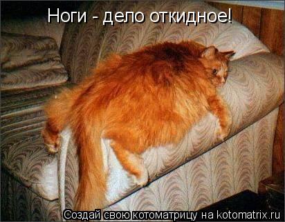 Ноги - дело откидное!... Котоматрица: Ноги - дело откидное!