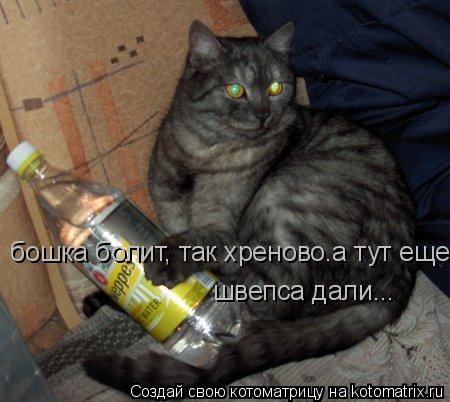 бошка болит, так хреново.а тут еще швепса дали... бошка болит, так хреново.а тут еще швепса дали... ш... Котоматрица: бошка болит, так хреново.а тут еще швепса дали... бошка болит, так хреново.а тут еще швепса дали... швепса дали...