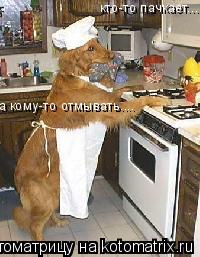 кто-то пачкает... а кому-то отмывать....... Котоматрица: кто-то пачкает... а кому-то отмывать....