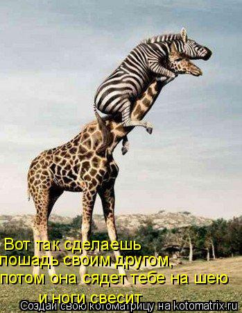 Вот так сделаешь лошадь своим другом, потом она сядет тебе на шею и ноги свесит... Котоматрица: Вот так сделаешь лошадь своим другом, потом она сядет тебе на шею и ноги свесит