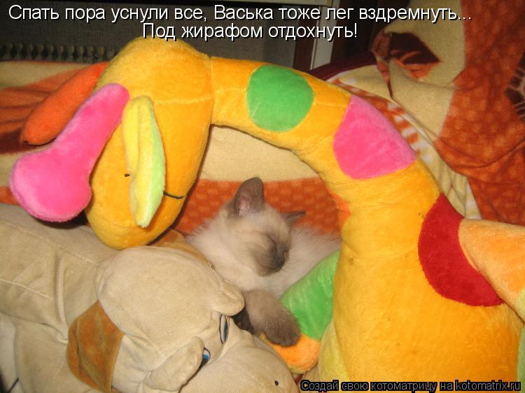 Котоматрица: Спать пора уснули все, Васька тоже лег вздремнуть... Под жирафом отдохнуть!