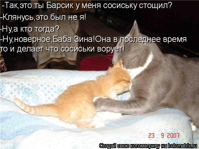 Котоматрица: -Так,это ты Барсик у меня сосиську стощил? -Клянусь,это был не я! -Ну,а кто тогда? -Ну,новерное,Баба Зина!Она в последнее время то и делает что с