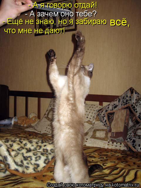 - А я говорю отдай! - А зачем оно тебе? что мне не дают! - Ещё не знаю, но я забираю всё,... Котоматрица: - А я говорю отдай! - А зачем оно тебе? что мне не дают! - Ещё не знаю, но я забираю всё,